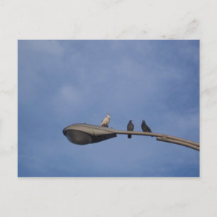 friends postcard