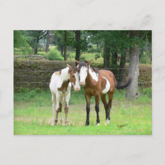 Friends Postcard