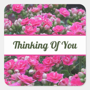 Friends Pretty Pink Flowers Thinking Of You Square Sticker