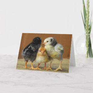 Friends Stick Together Card