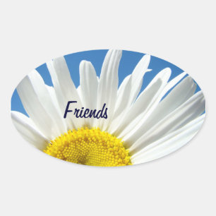 Friends stickers White Daisy Flowers seals