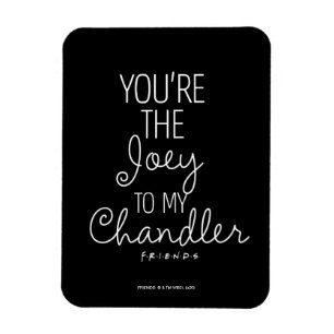 FRIENDS™   You're the Joey to my Chandler Magnet
