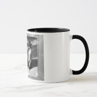 Friendship Above all Mug