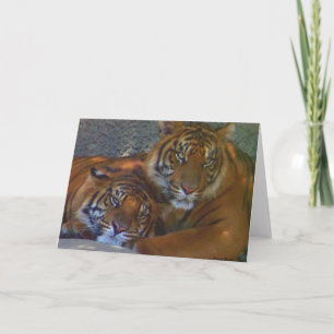 Friendship/Any Occasion_ Card