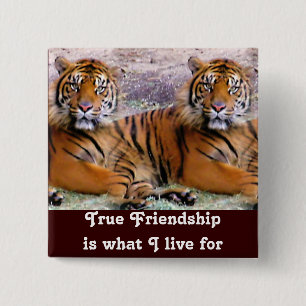 Friendship_ Button