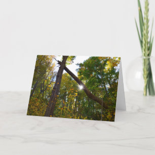 Friendship Card