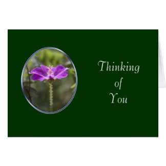 friendship card