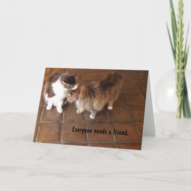 Friendship Card, Peach Canyon Winery Cats Card (Front)