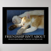 Friendship Cats Love Artwork Inspirational