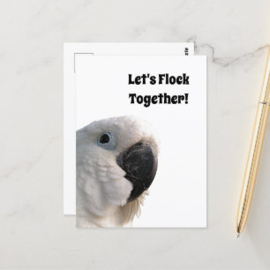 Friendship Day Cockatoo Flock Together Funny Photo Postcard
