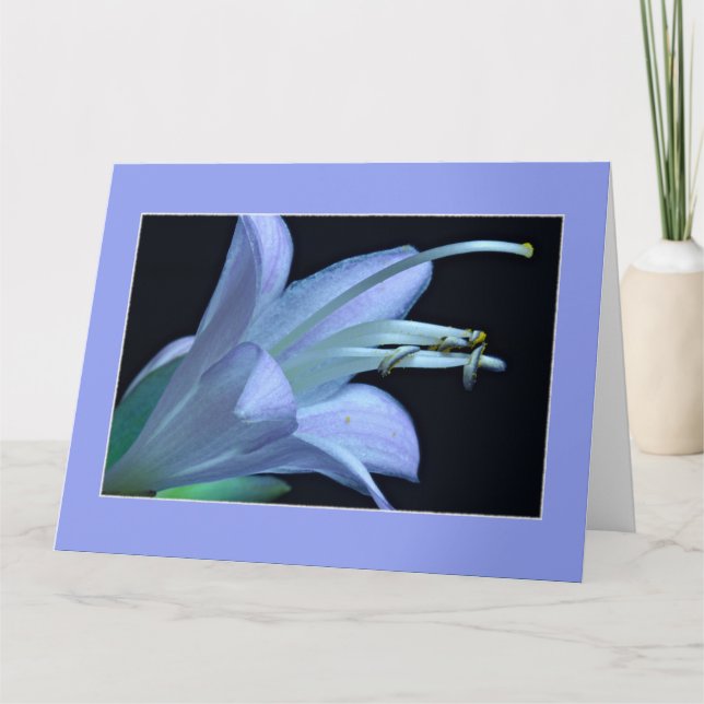 Friendship Framed Greeting Card (Front)