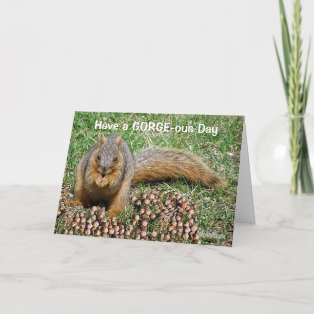 Friendship Funny Squirrel Eating Acorns Thank You Card (Front)