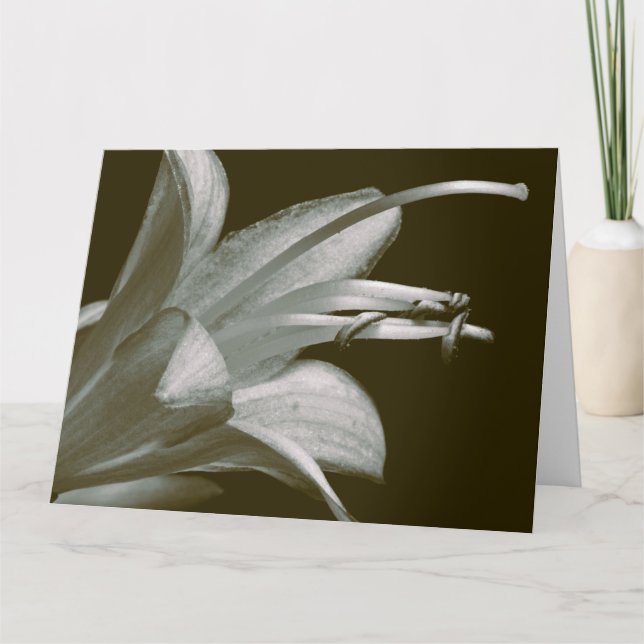 Friendship Hosta Flower, Elegant Vintage Sepia  Card (Front)