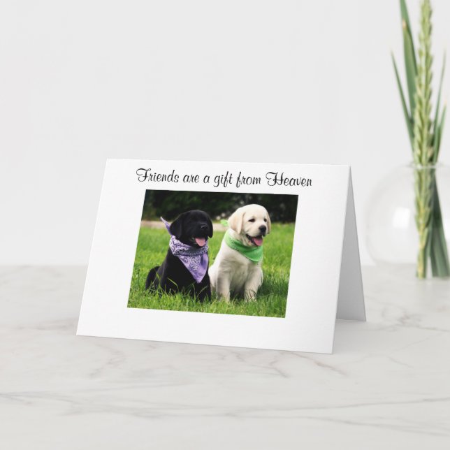 Friendship Labrador Retriever Puppies Card (Front)