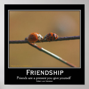 Friendship Ladybugs Motivational Quote Poster