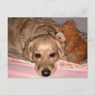Friendship Postcard