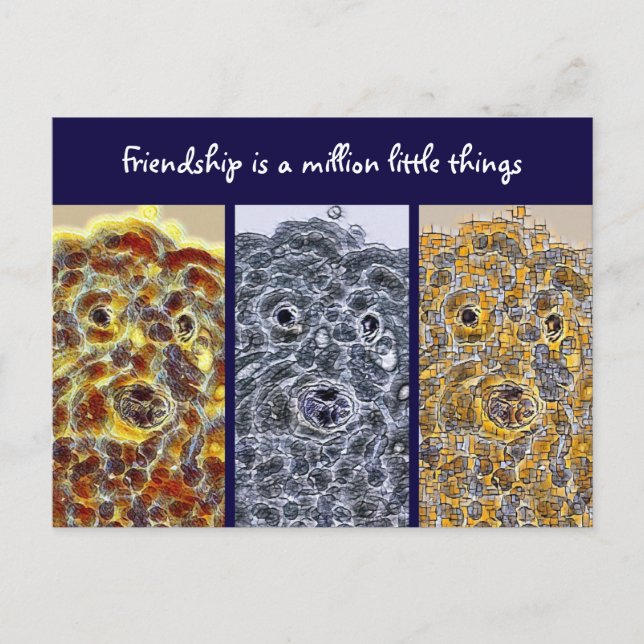 Friendship Postcard Dogs Modern Abstract Art (Front)