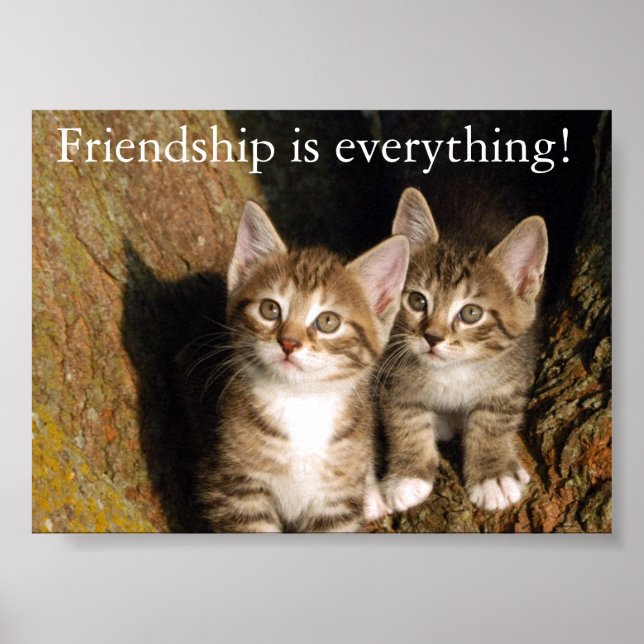 Friendship Poster (Front)