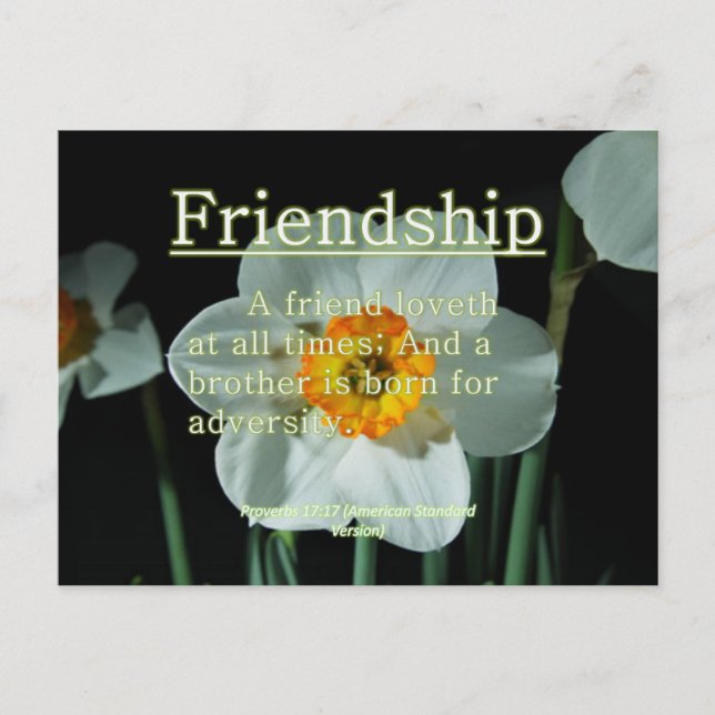 Friendship Proverbs 17:17 Postcard (Front)