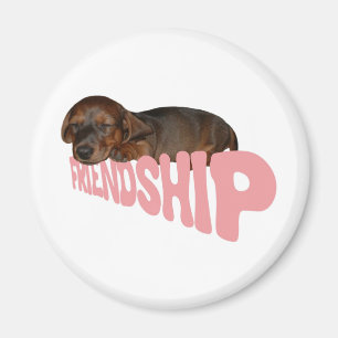 Friendship puppy / dog is man's best friend, pink magnet
