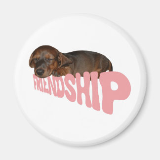 Friendship puppy / dog is man's best friend, pink magnet