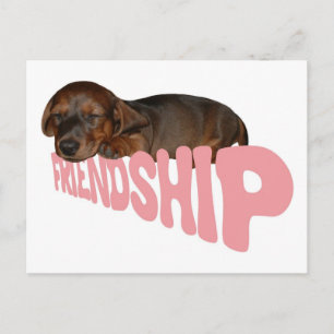 Friendship puppy / dog is man's best friend, pink postcard