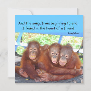 Friendship Quotation