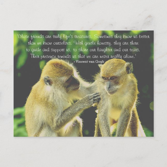 Friendship Quote by Vincent van Gogh Postcard (Front)