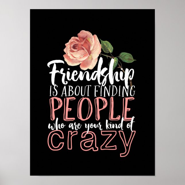 Friendship Quote Cool Crazy Best Friends Poster (Front)