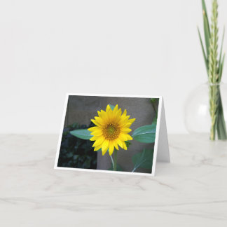Friendship, thank you, birthday, sunflower card