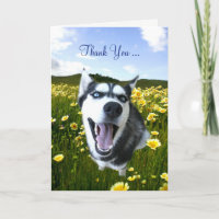 Friendship Thank You with Cute Husky Flowers