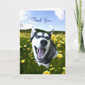 Friendship Thank You with Cute Husky Flowers Card
