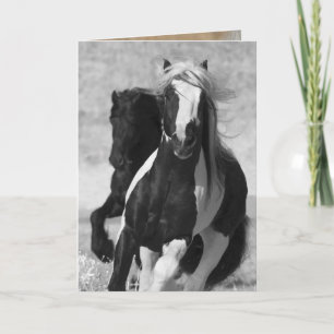 Friesian and Gypsy Run Horse Greeting Card