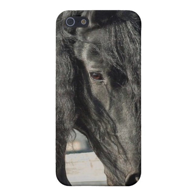 Friesian Beauty iPhone Case (Back)