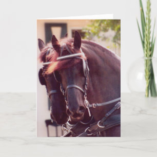 Friesian Carriage Horses Card