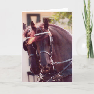 Friesian Carriage Horses Card