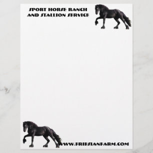 Friesian Colt Custom Letterhead