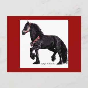 Friesian Dance Postcard #5