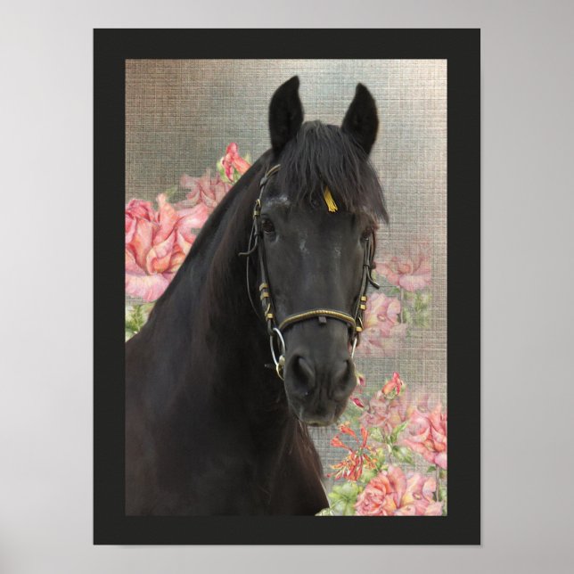 Friesian DIAMOND ~ Portrait 3 - Poster (Front)