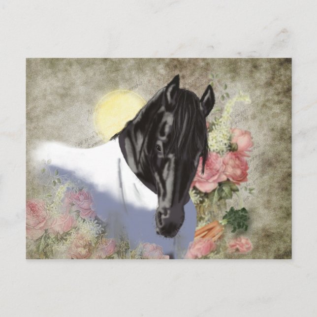 Friesian DIAMOND - Postcard (Front)