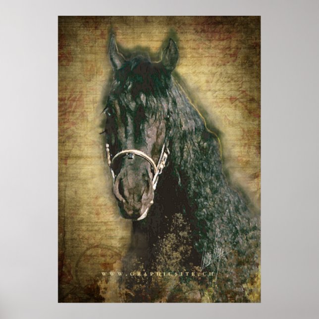 Friesian DIAMOND - Poster (Front)