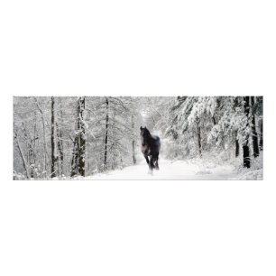 Friesian DIAMOND VII - Photo Print