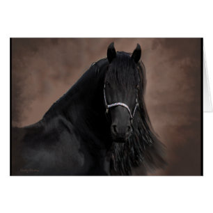 Friesian Flair