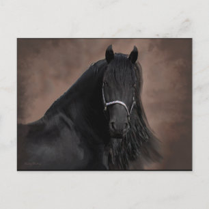 Friesian Flair Postcard