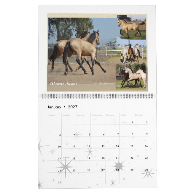 Friesian Heritage Huge Photo Calendar (Jan 2027)