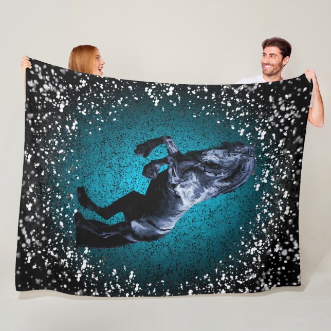 Friesian horse, black stallion, snow, silver/blue fleece blanket (In Situ)