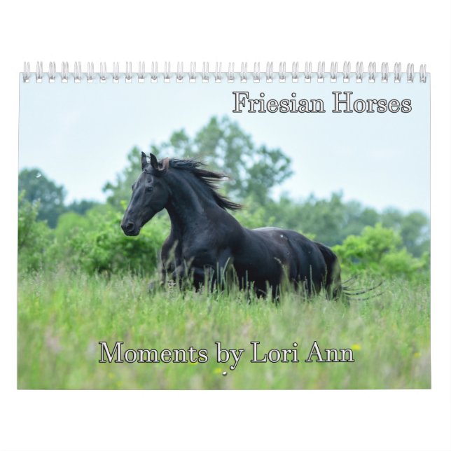 Friesian Horse Calendar by Moments By Lori Ann (Cover)