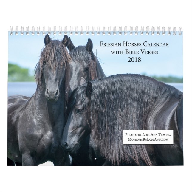 Friesian Horse Calendar with Bible Verses (Cover)