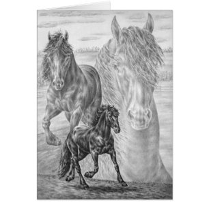 Friesian Horse Drawing by Kelli Swan