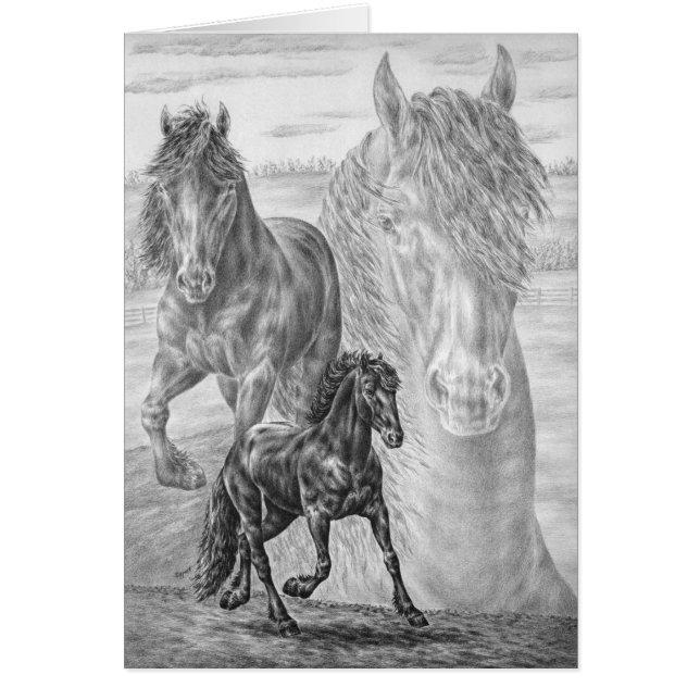 Friesian Horse Drawing by Kelli Swan (Front)